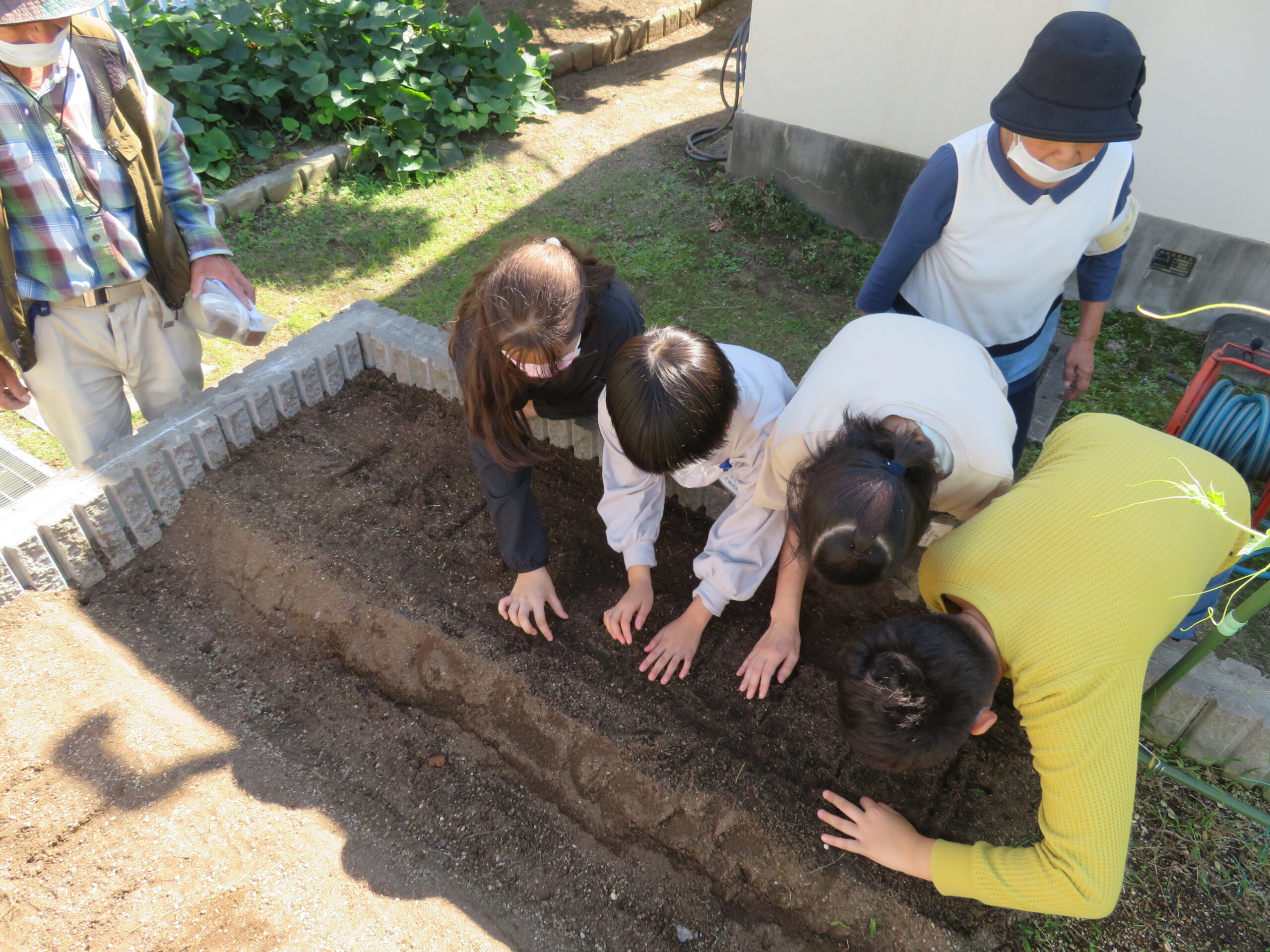 【レポート】なにわの伝統野菜を育てよう！＠大阪市立味原小学校 なにわエコスタイル